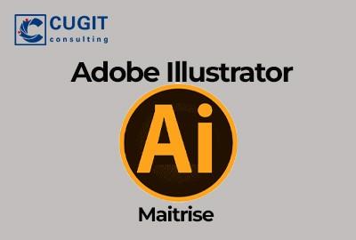 Maitrise adobe illustrator avancés