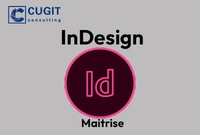 Maitriser InDesign pour la perfection